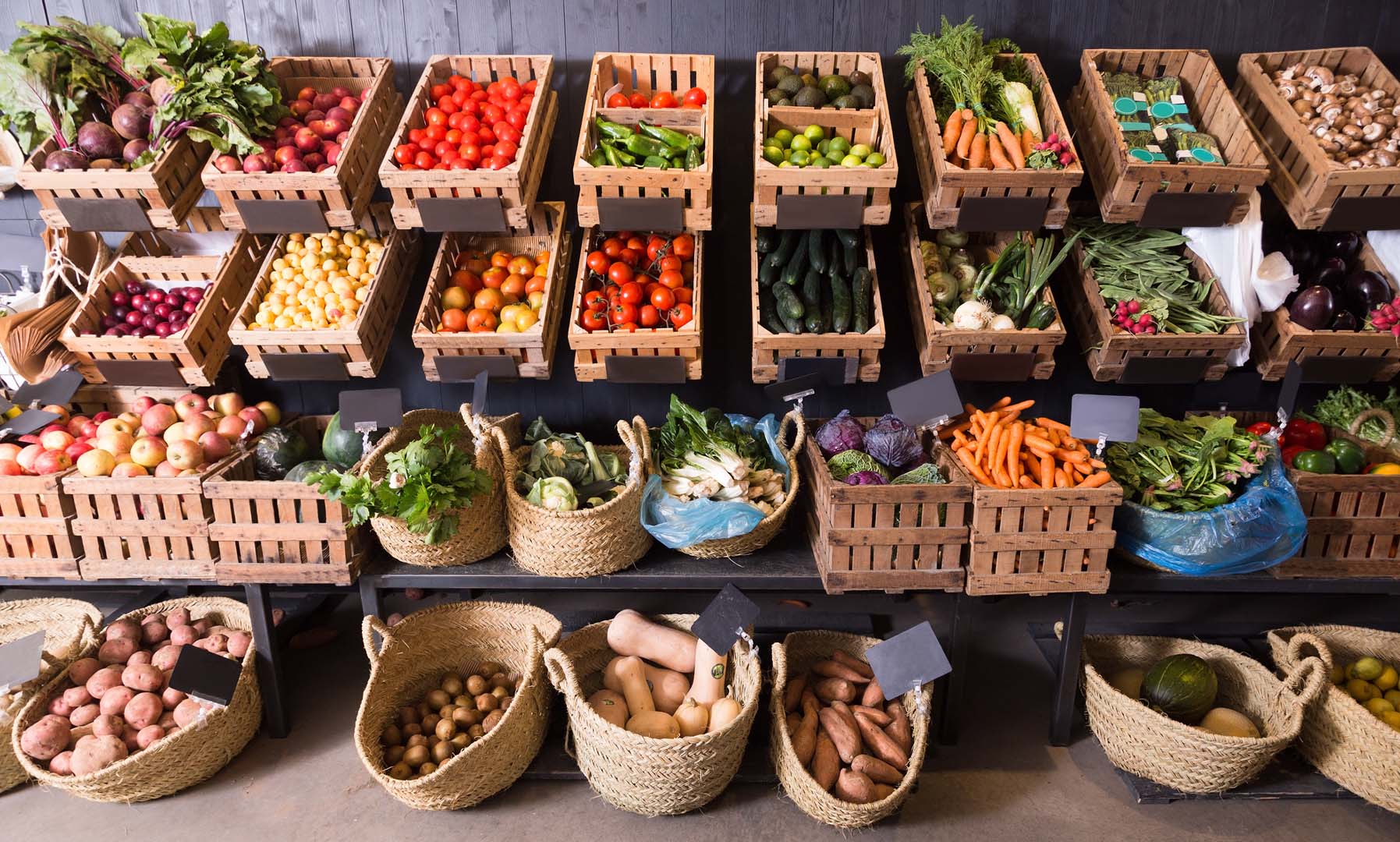 control de plagas en tiendas de alimentación en Madrid