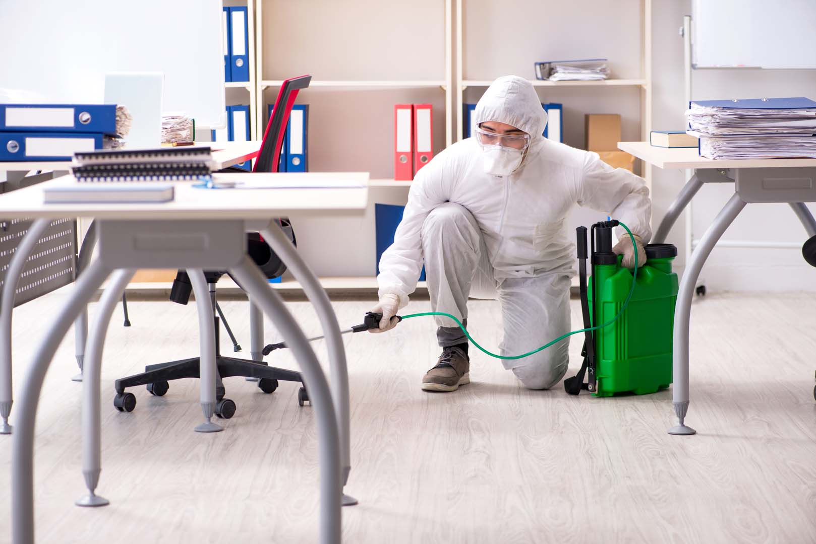 empresa de desinfección en Madrid